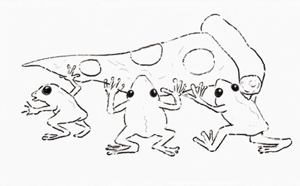 Drawing Pencil drawing of two frogs, line only